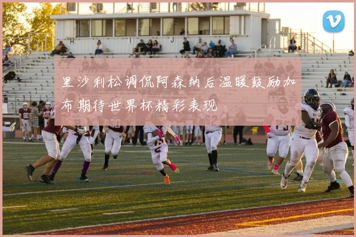 里沙利松调侃阿森纳后温暖鼓励加布期待世界杯精彩表现